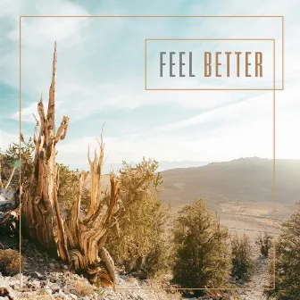 Feel Better – Calm Music for Stress Reduction, Anxiety Relief and Relaxation by Bath Spa