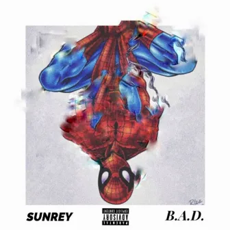 SpiderMan by B.A.D