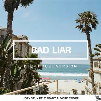 Bad Liar (Joey Stux's Deep House Version) by Tiffany Alvord