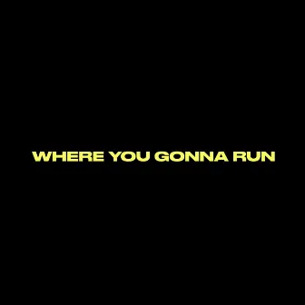 Where You Gonna Run by Manu Crooks