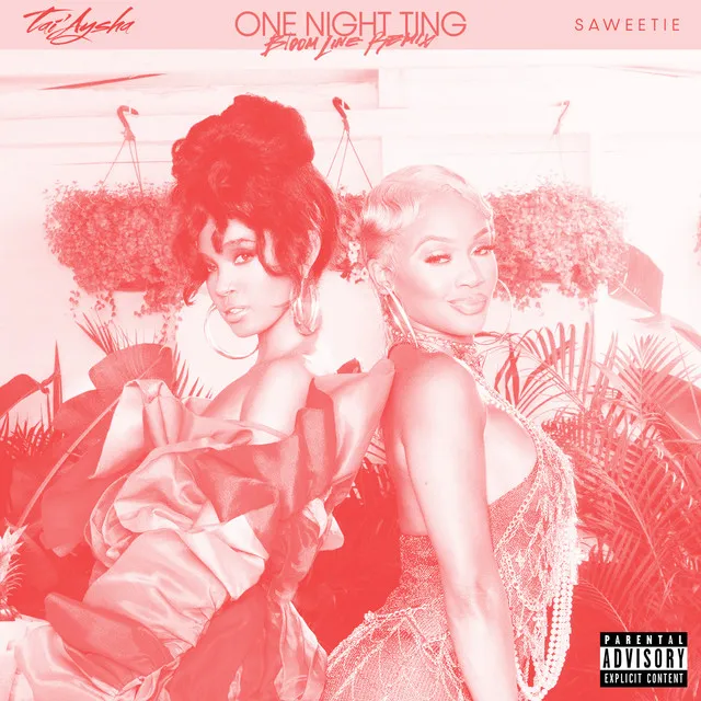 One Night Ting (feat. Saweetie)