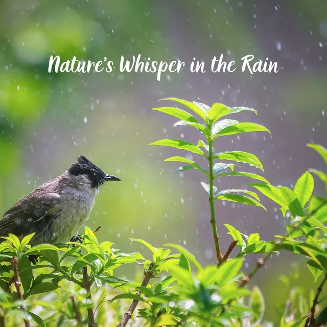 Nature's Whisper in the Rain