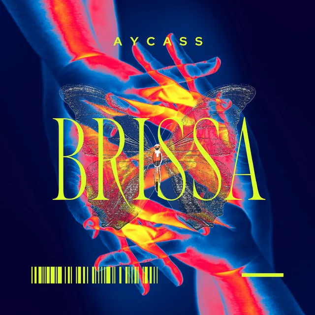 Brissa