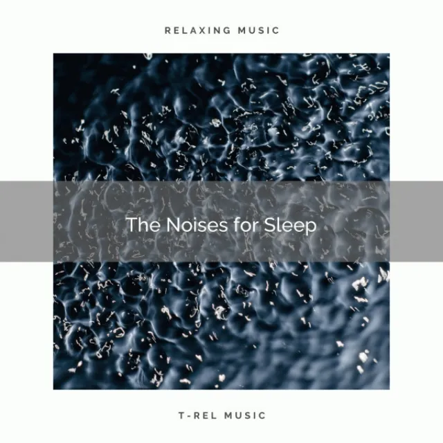 The Noises for Sleep