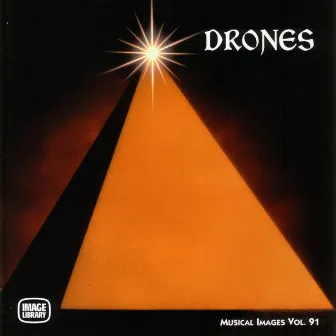 Drones: Musical Images, Vol. 91 by Frank Tayla