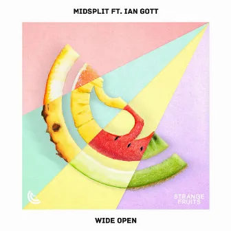 Wide Open by Ian Gott