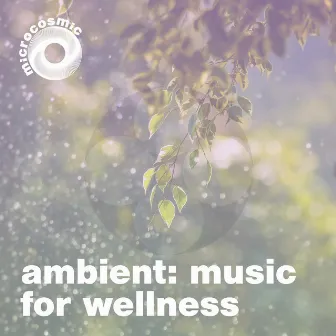 Ambient - Music For Wellness by Thomas Beck