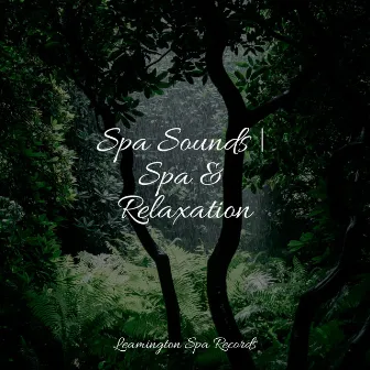 Spa Sounds | Spa & Relaxation by Meditação Clube