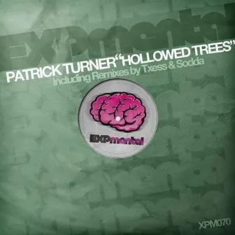 Hollowed Trees by Patrick Turner