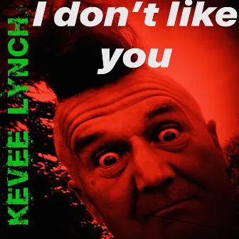 I Don't Like You by Kevee Lynch