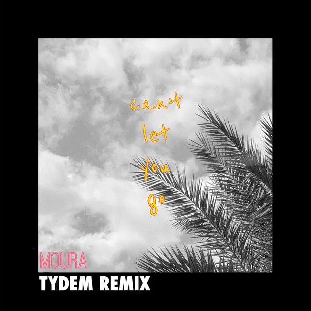 Can't Let You Go - Tydem Remix