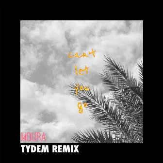 Can't Let You Go (Tydem Remix) by Moura