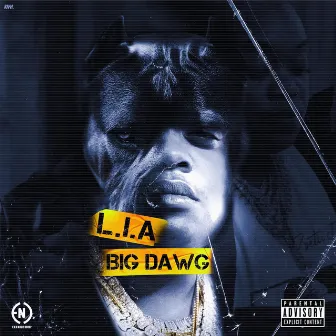 Big Dawg by L.I.A.