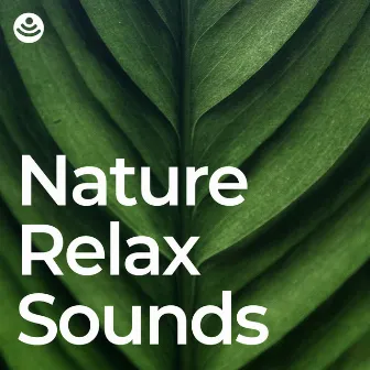 Nature Relax Sounds by Organic Nature Sounds