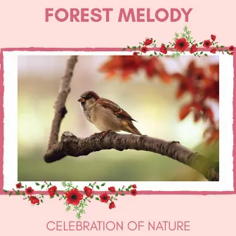 Forest Melody - Celebration of Nature by Nature Radiance Project