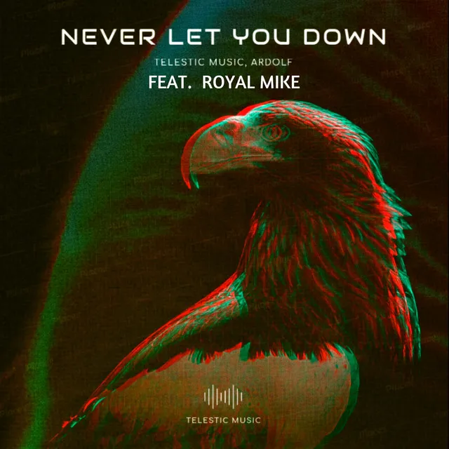 Never Let You Down - Remix