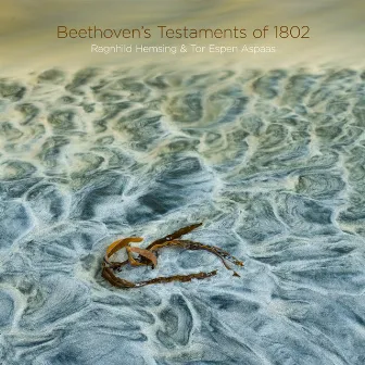 Beethoven's Testaments of 1802 by Tor Espen Aspaas