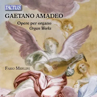 Amadeo: Organ Works by Gaetano Amadeo