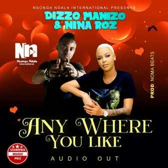 Anywhere you like by Dizzo Manizo