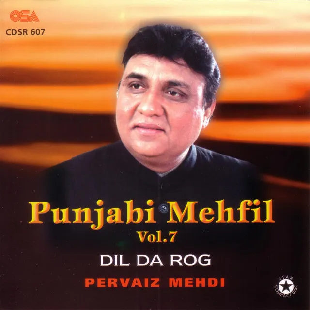 Punjabi Mehfill Vol.7