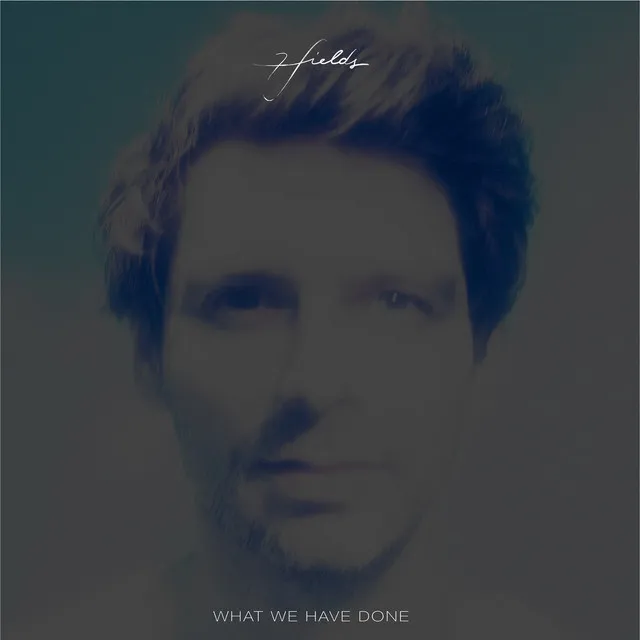 What We Have Done - Niklas Ibach Remix