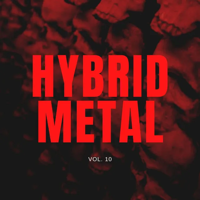 Hybrid Metal, Vol. 10