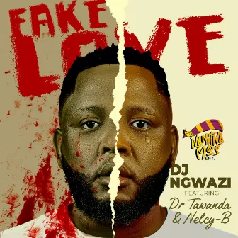 Fake Love (feat. Dr Tawanda & Nelcy-B) by DJ Ngwazi