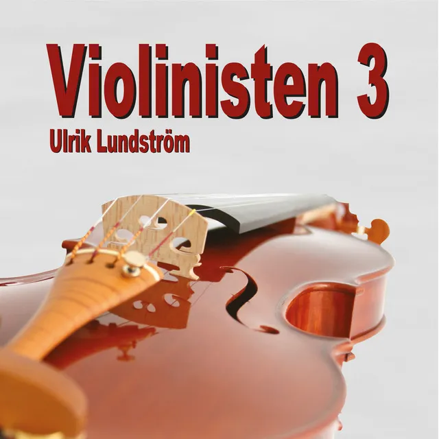 Violinisten 3