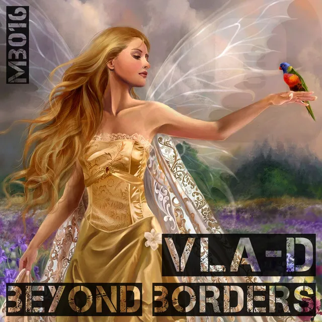 Beyond Borders - Vinid Ambient Mix