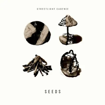 Seeds by Unknown Artist