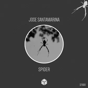 Spider by Jose Santamarina