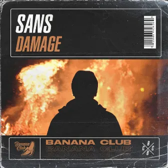 Damage by Sans