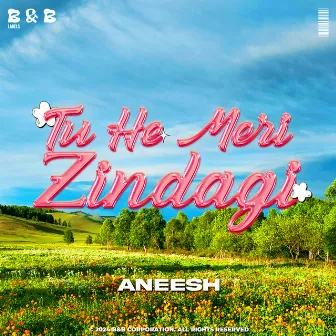 Tu He Meri Zindagi by Aneesh