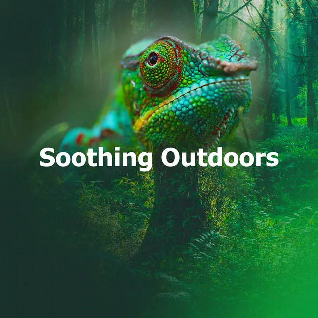 Soothing Outdoors