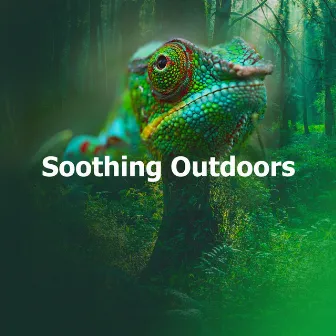 Soothing Outdoors by The Nature Sound Collector