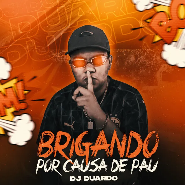 Brigando por Causa de Pau