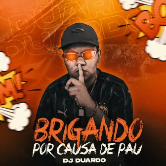 Brigando por Causa de Pau by DJ Duardo