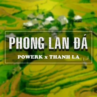 Phong Lan Đá by Powerk