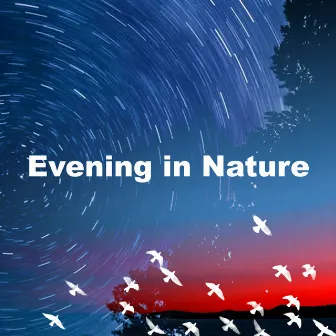 Evening in Nature by Sounds of the Forest