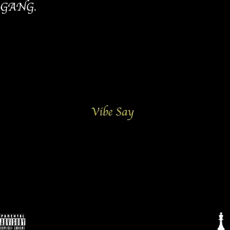 VIBE SAY by ChessNotCheckers