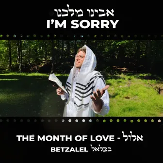 I’m Sorry by Betzalel Levin