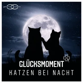 Katzen bei Nacht by Glücksmoment