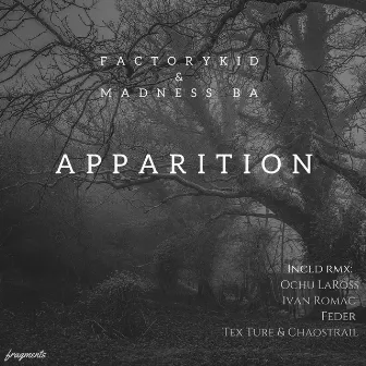 Apparition by FactoryKid