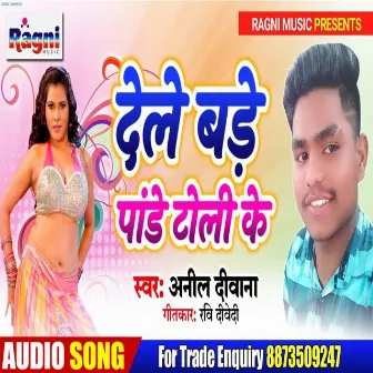 Dele Badhe Pandhe Toli Ke by Anil Deewana