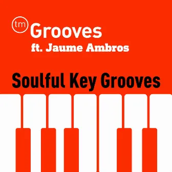 Soulful Key Grooves by TM Grooves