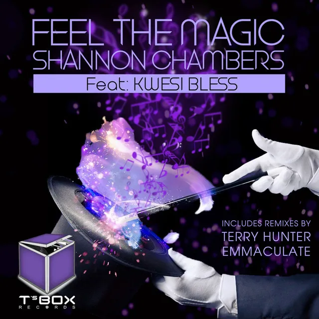 Feel The Magic - Shannon's 1 Sound Mix