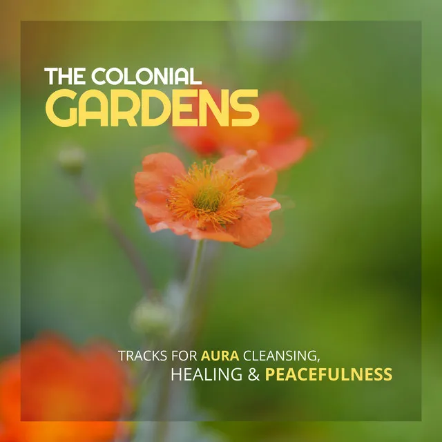 The Colonial Gardens - Tracks For Aura Cleansing, Healing & Peacefulness