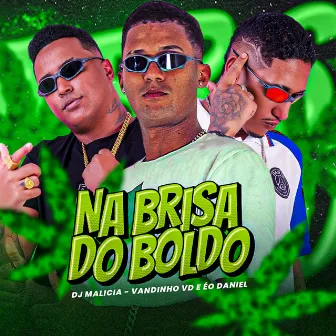 Na Brisa do Boldo by Vandinho VD e ÉO Daniel