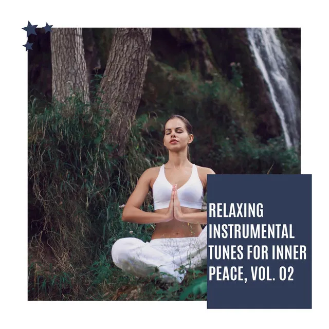 Relaxing Instrumental Tunes For Inner Peace, Vol. 02