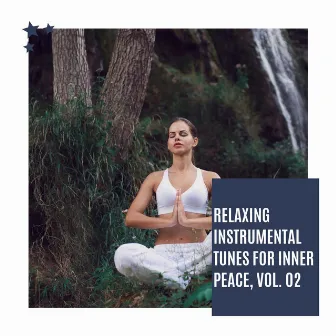 Relaxing Instrumental Tunes For Inner Peace, Vol. 02 by Lillian Rocher